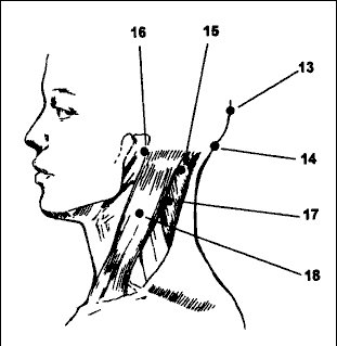 Точечный массаж при шейном остеохондрозе на шее и голове.